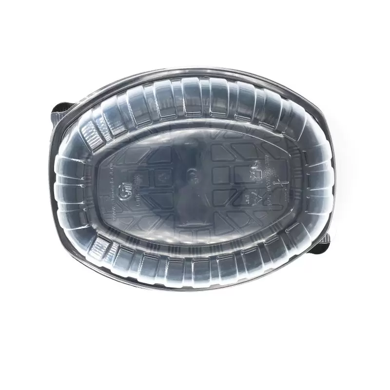 Plastikinis indas uždaromu dangčiu