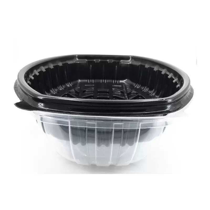 Plastikinis indas uždaromu dangčiu