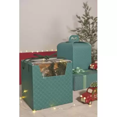 Kaste Prestige ar pvc. vāks un auduma rokturi 2