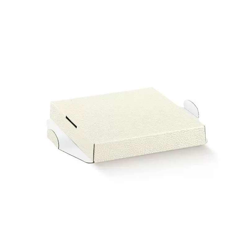 Caurspīdīga kaste ar baltu ieliktni 250x250x400mm