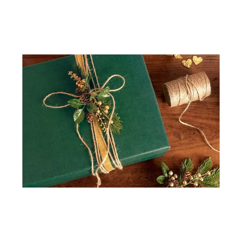 Lininė natūrali virvelė Juta