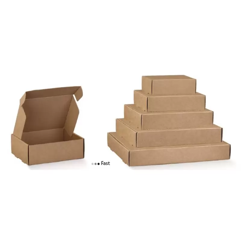 Ātri aizveramā kaste Avana Fast