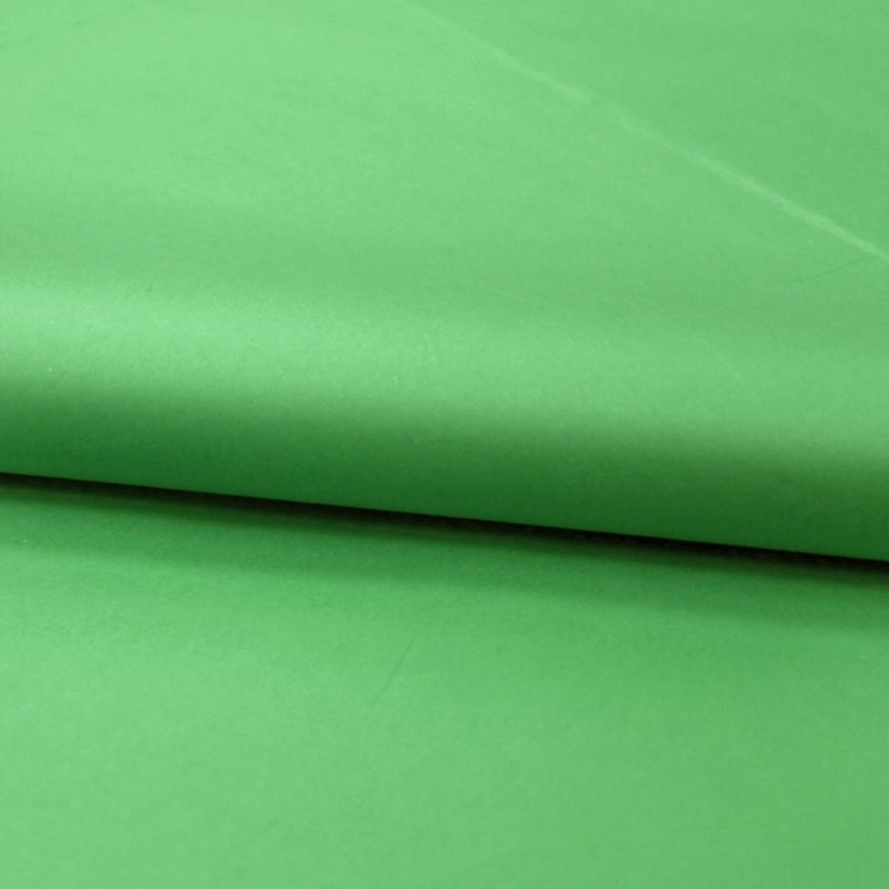 TISSUE šilkinis popierius vidutiniškai žalias