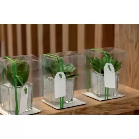 Skaidri kvadratinė dėžutė 40x40x40mm