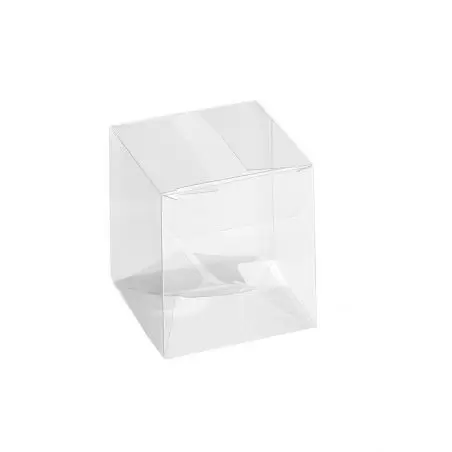 Caurspīdīga kvadrātveida kaste Scatto 90x90xh