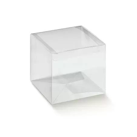 Caurspīdīga kvadrātveida kaste Scatto 90x90xh
