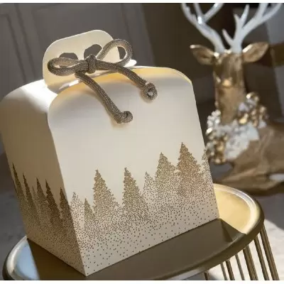 Kalėdinė dėžutė Portapanettone seta su rankenėle 2