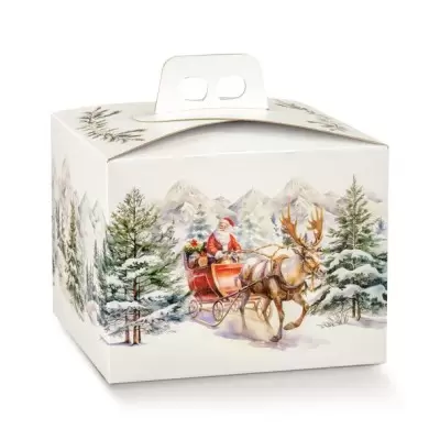 Ziemassvētku dāvanu kaste ar rokturi Quadrella 2