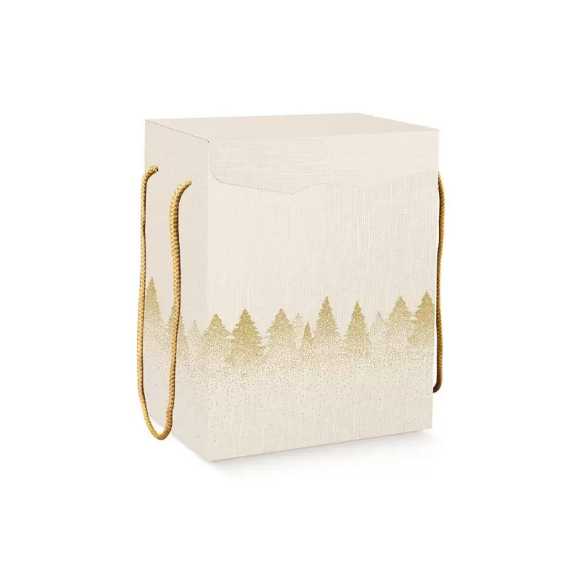 Ziemassvētku dāvanu kaste ar rokturiem Segreto