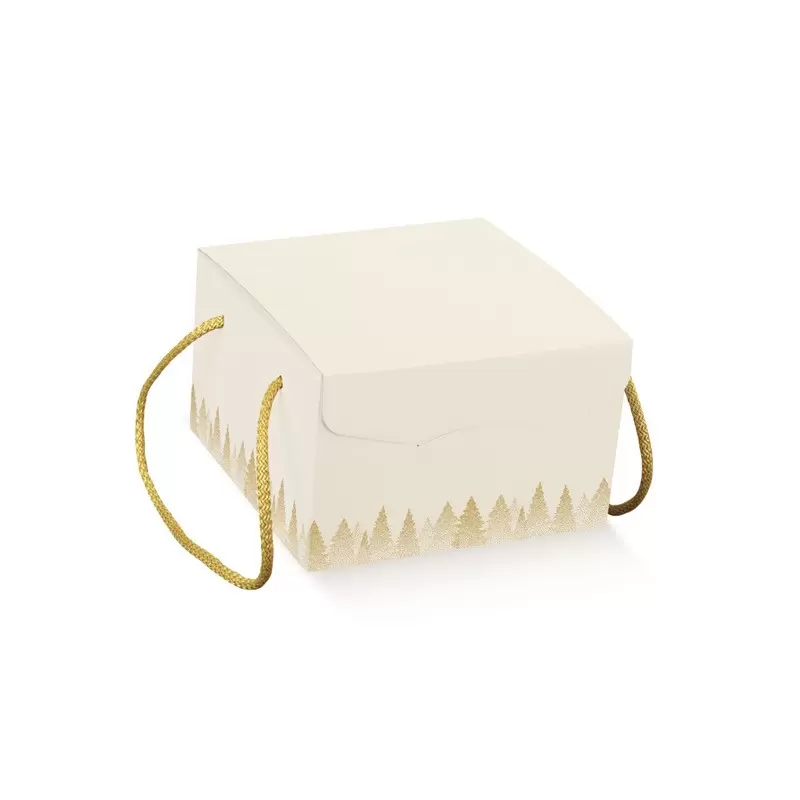 Ziemassvētku dāvanu kaste ar rokturiem Segreto