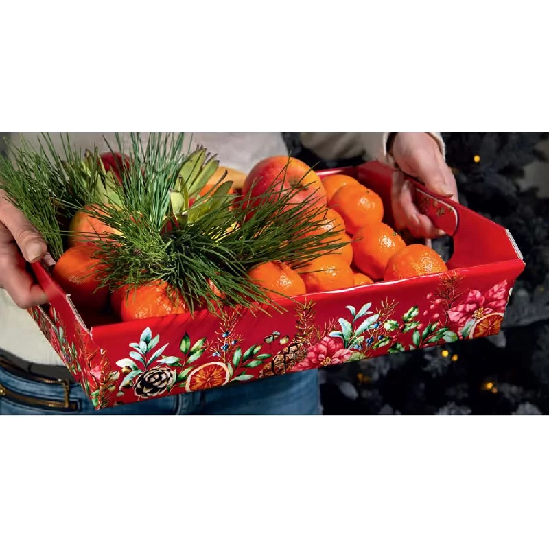 Dėžutė padėklas raudonas