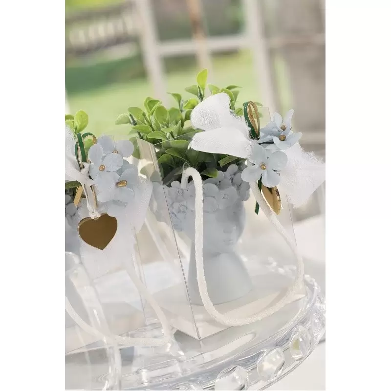 Caurspīdīga soma ar auduma rokturiem