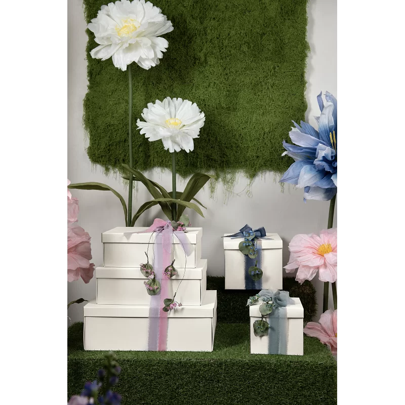 Dėžė Easy Fibra su atskiru dangteliu