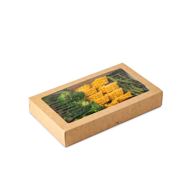Kaste Eco ar caurspīdīgu logu 260x150x40mm