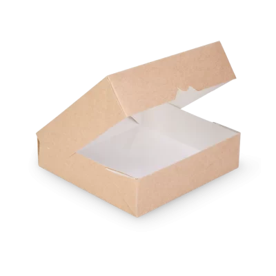 Kaste Eco ar caurspīdīgu logu 200x200x55mm 2