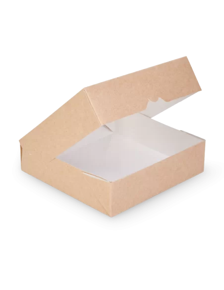 Läbipaistva aknaga Eco karp 200x200x45mm