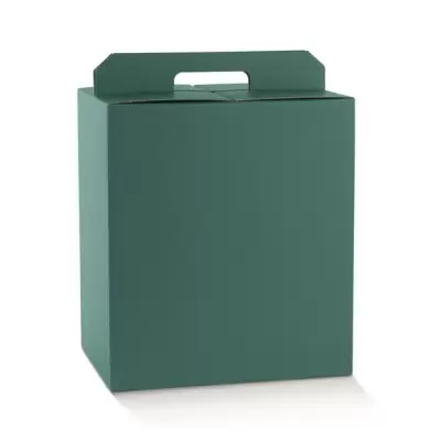 Dāvanu kastīte zaļa ar rokturi