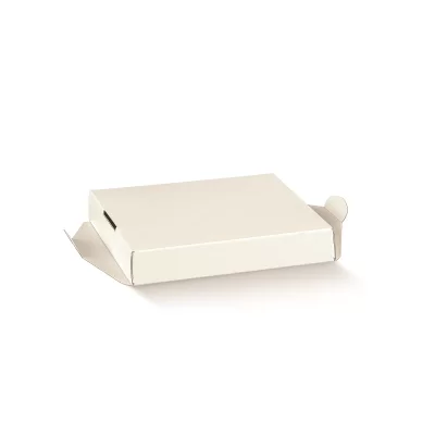 Skaidri dėžė su baltu įdėklu 250x250x300mm 2