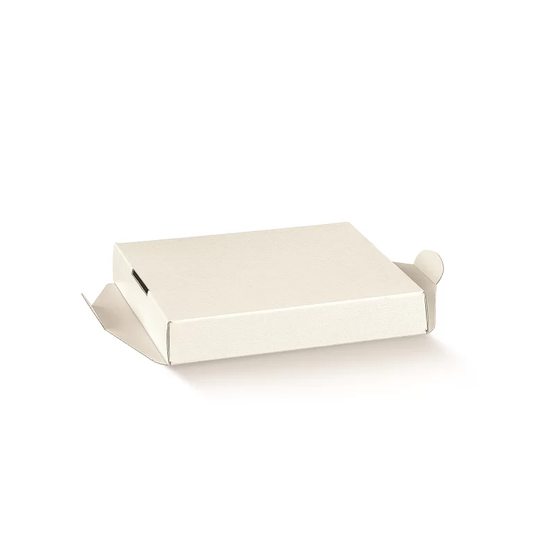 Skaidri dėžė su baltu įdėklu 250x250x300mm