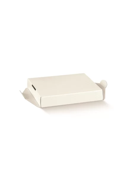 Läbipaistev karp valge vooderdisega 250x250x300mm