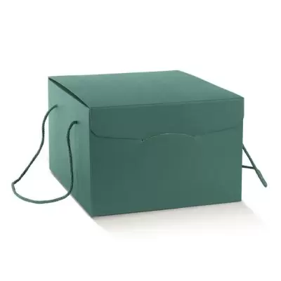 Pastellrohelist värvi karp 2